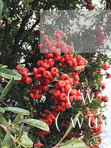 網(wǎng)貸逾期14天可以申請商務(wù)卡嗎-網(wǎng)貸逾期14天可以申請商務(wù)卡嗎