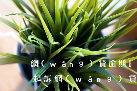 網(wǎng)貸逾期15000多久會被起訴(網(wǎng)貸逾期多少錢會被起訴)