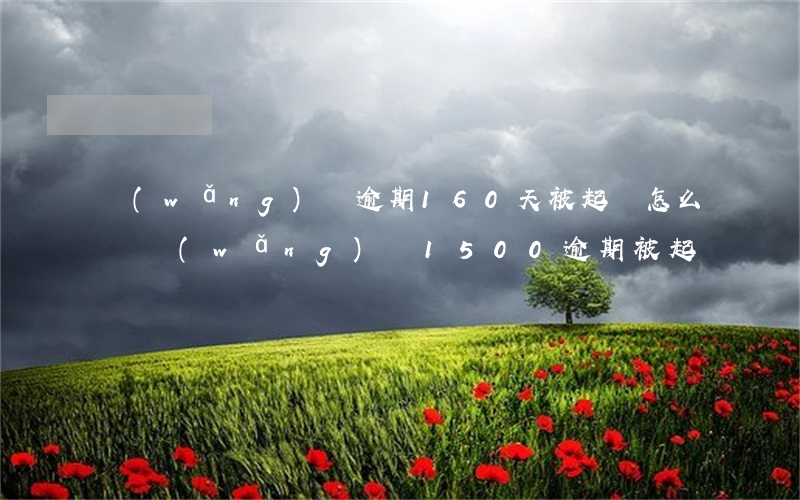 網(wǎng)貸逾期160天被起訴怎么辦(網(wǎng)貸1500逾期被起訴)