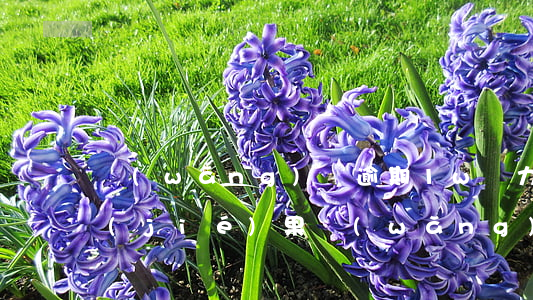 網(wǎng)貸逾期1w無力償還最壞結(jié)果(網(wǎng)貸還沒有逾期,但已經(jīng)無力償還)