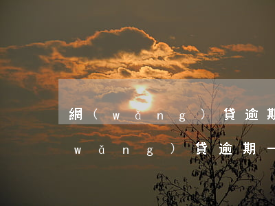 網(wǎng)貸逾期1個月什么后果(網(wǎng)貸逾期一個月有沒有影響)