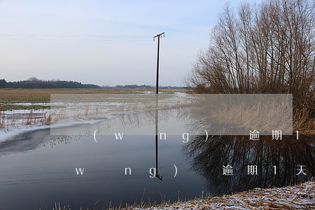 網(wǎng)貸逾期1天借不出來了(網(wǎng)貸逾期1天借不出來了)