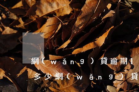 網(wǎng)貸逾期1天費(fèi)用多少(網(wǎng)貸逾期1天費(fèi)用多少錢)