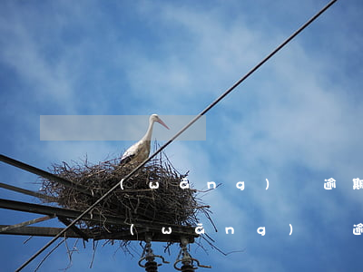 網(wǎng)貸逾期1萬多怎么處理(1萬網(wǎng)貸逾期三年了要還多少)