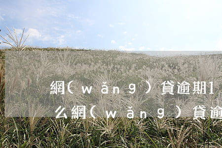 網(wǎng)貸逾期1萬被起訴的概率大么(網(wǎng)貸逾期一千塊會被起訴嗎)