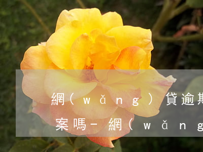 網(wǎng)貸逾期2000塊錢可以立案嗎-網(wǎng)貸逾期2000塊錢可以立案嗎知乎