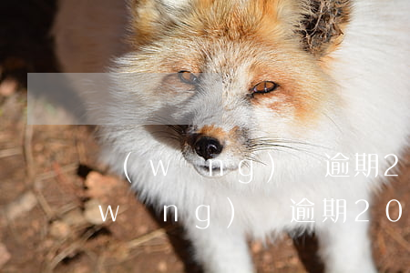 網(wǎng)貸逾期200天會怎樣(網(wǎng)貸逾期200天會怎樣)