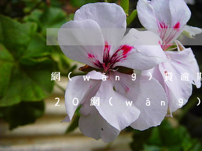 網(wǎng)貸逾期2020年8月(2020網(wǎng)貸逾期會(huì)被起訴嗎)