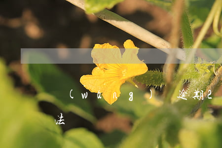 網(wǎng)貸逾期2020無(wú)法償還