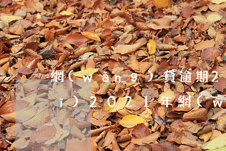 網(wǎng)貸逾期2021新規(guī)(2021年網(wǎng)貸逾期新法規(guī))
