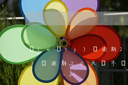 網(wǎng)貸逾期20天(網(wǎng)貸逾期20天會不會有事)