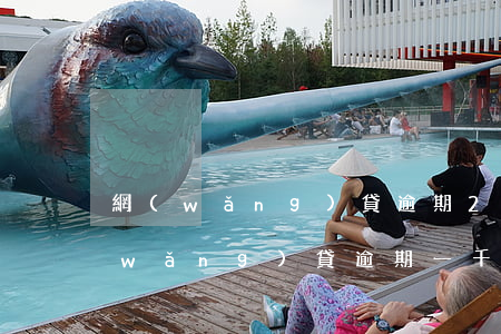 網(wǎng)貸逾期20萬會起訴嗎(網(wǎng)貸逾期一千多會起訴嗎)