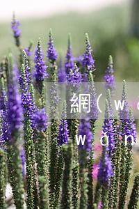 網(wǎng)貸逾期21天了怎么辦(網(wǎng)貸逾期拘留15天)