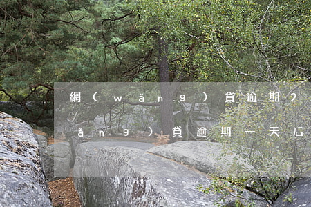 網(wǎng)貸逾期24小時后果(網(wǎng)貸逾期一天后果)