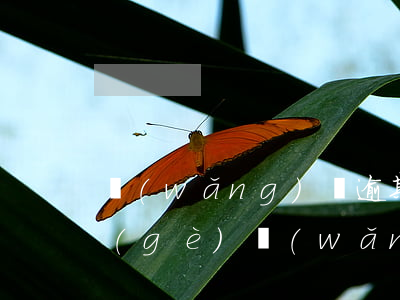 網(wǎng)貸逾期26萬怎么辦(十幾個(gè)網(wǎng)貸全面逾期)