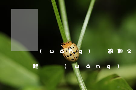 網(wǎng)貸逾期2800多元能不能起訴（網(wǎng)貸逾期8天2000多要起訴）