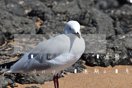 網(wǎng)貸逾期2天有影響嗎(網(wǎng)貸逾期2個月還會怎么樣)