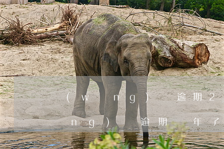 網(wǎng)貸逾期2年了有事嗎(網(wǎng)貸逾期幾年了有沒(méi)事)