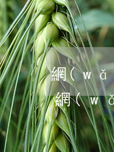 網(wǎng)貸逾期2年被起訴了怎么辦 網(wǎng)貸逾期兩年為什么不起訴