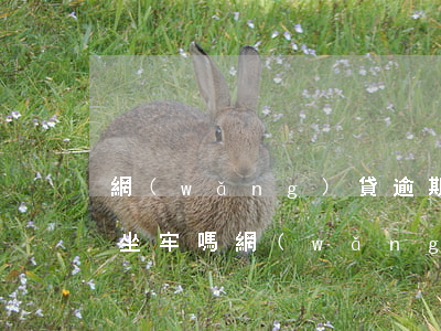 網(wǎng)貸逾期2年還會(huì)坐牢嗎（網(wǎng)貸逾期2年還會(huì)坐牢嗎）