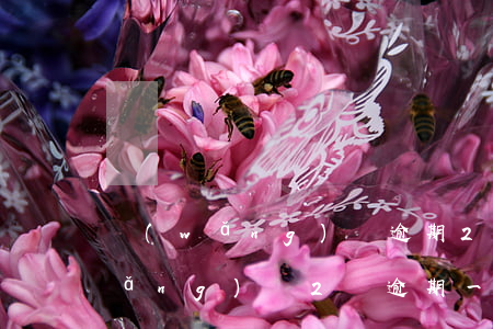 網(wǎng)貸逾期2月利息多少(網(wǎng)貸2萬逾期一年利息怎么算)