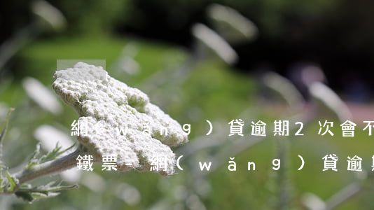 網(wǎng)貸逾期2次會不會影響買高鐵票-網(wǎng)貸逾期2次會不會影響買高鐵票呢