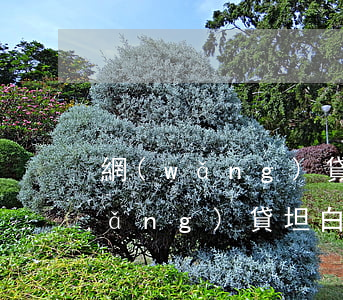 網(wǎng)貸逾期2萬怎么坦白(網(wǎng)貸坦白了)
