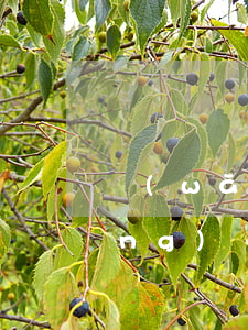 網(wǎng)貸逾期3000天 網(wǎng)貸3000多逾期多久放棄催收