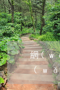 網(wǎng)貸逾期3000會起訴嗎(網(wǎng)貸3000逾期多久會被起訴)