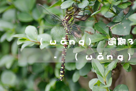 網(wǎng)貸逾期30多天還可以坐高鐵嗎-網(wǎng)貸逾期30多天還可以坐高鐵嗎有影響嗎