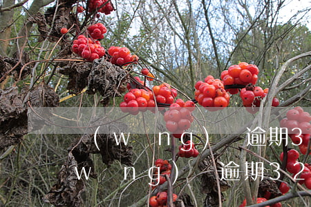 網(wǎng)貸逾期32次上黑名單(網(wǎng)貸逾期32次上黑名單)