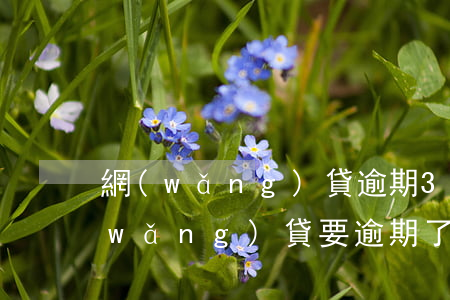 網(wǎng)貸逾期3500怎么辦(網(wǎng)貸要逾期了怎么辦)