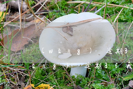 網(wǎng)貸逾期35天怎么辦(網(wǎng)貸逾期35天怎么辦呢)
