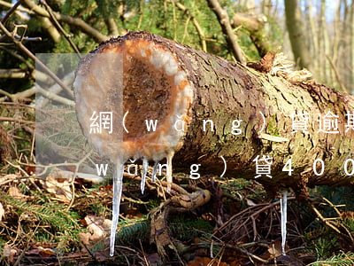 網(wǎng)貸逾期3600的圖片(網(wǎng)貸4000逾期一年)
