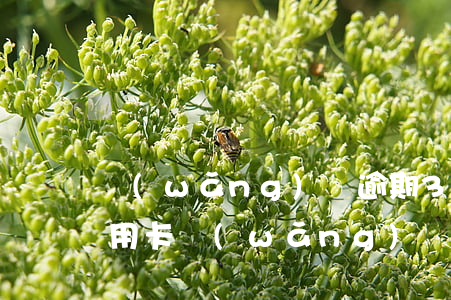 網(wǎng)貸逾期38個月能不能辦信用卡(網(wǎng)貸逾期了能辦信用卡嗎)