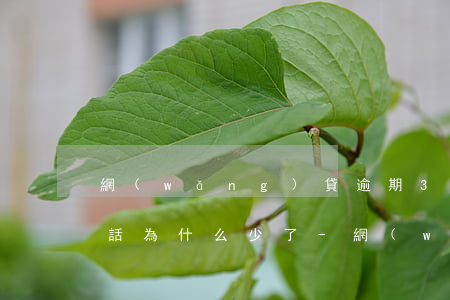 網(wǎng)貸逾期3個(gè)月后電話為什么少了-網(wǎng)貸逾期3個(gè)月后電話為什么少了呢