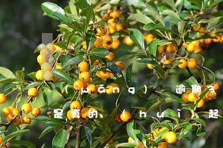 網(wǎng)貸逾期3個(gè)月是不是真的會(huì)起訴-網(wǎng)貸逾期3個(gè)月是不是真的會(huì)起訴查封物業(yè)