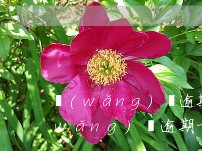 網(wǎng)貸逾期3個月還10萬(網(wǎng)貸逾期十幾萬)