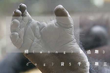 網(wǎng)貸逾期3到5倍賠償(網(wǎng)貸5千逾期三年)
