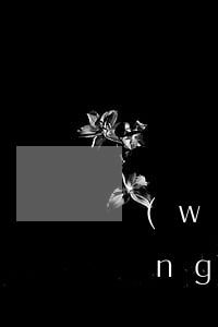 網(wǎng)貸逾期3天會怎么樣(網(wǎng)貸逾期三天會怎樣)