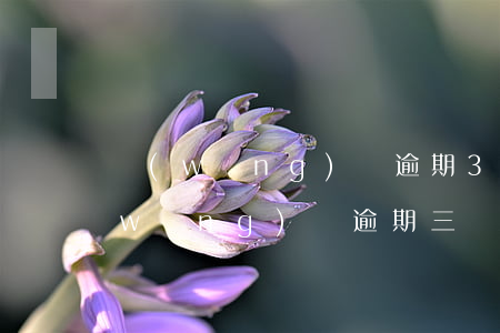 網(wǎng)貸逾期3年了怎么處理(網(wǎng)貸逾期三個月了怎么辦)