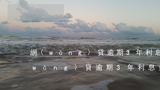 網(wǎng)貸逾期3年利息如何算(網(wǎng)貸逾期3年利息如何算)