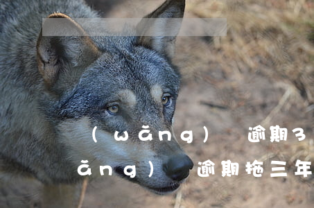 網(wǎng)貸逾期3年后怎么辦（網(wǎng)貸逾期拖三年）