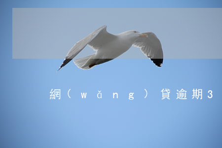 網(wǎng)貸逾期3年多久會被起訴