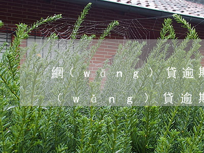 網(wǎng)貸逾期3年對面說要起訴(網(wǎng)貸逾期三年被起訴)