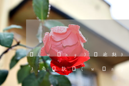 網(wǎng)貸逾期3年怎么協(xié)商還款(網(wǎng)貸逾期后如何協(xié)商還款)