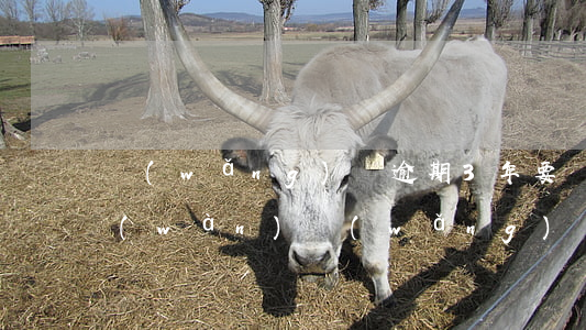 網(wǎng)貸逾期3年要還多少錢(3萬(wàn)網(wǎng)貸逾期一年是多少利息)