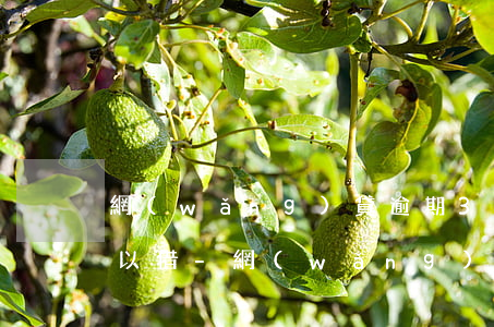 網(wǎng)貸逾期3次急需兩萬哪里可以借-網(wǎng)貸逾期3次急需兩萬哪里可以借出來