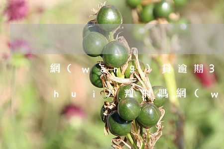 網(wǎng)貸逾期3萬(wàn)會(huì)判刑嗎(網(wǎng)貸三萬(wàn)逾期多久會(huì)被起訴)