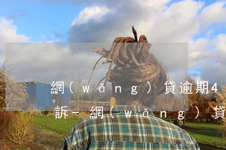網(wǎng)貸逾期4000會不會被起訴-網(wǎng)貸款5000逾期會不會被起訴